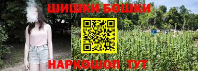 МДПВ Лесосибирск