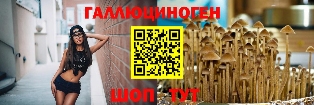 Галлюциногенные грибы прущие грибы  как найти   Ивантеевка  Вход с VPN 